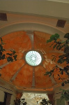 The Wynn