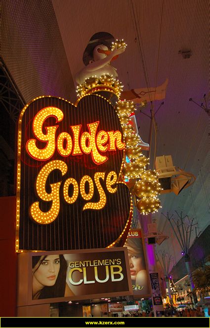 Golden Goose