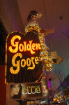 Golden Goose