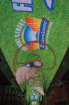 The Fremont Street Experience