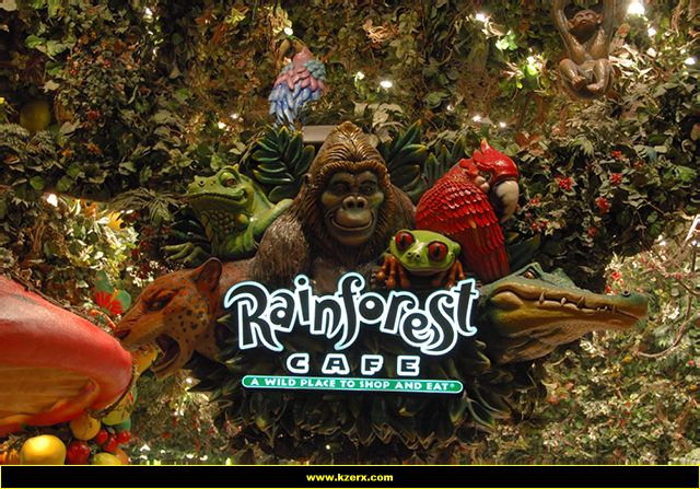 The Rainforest Cafe