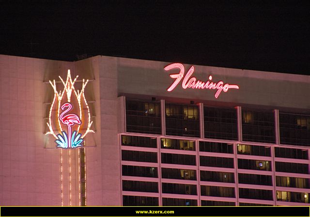 The Flamingo