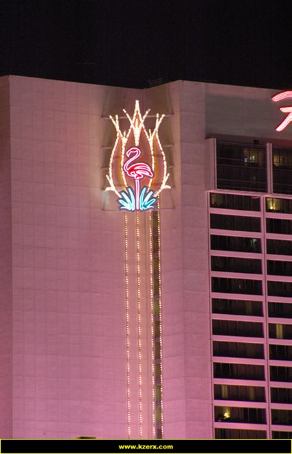 The Flamingo