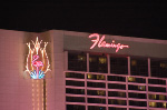 The Flamingo