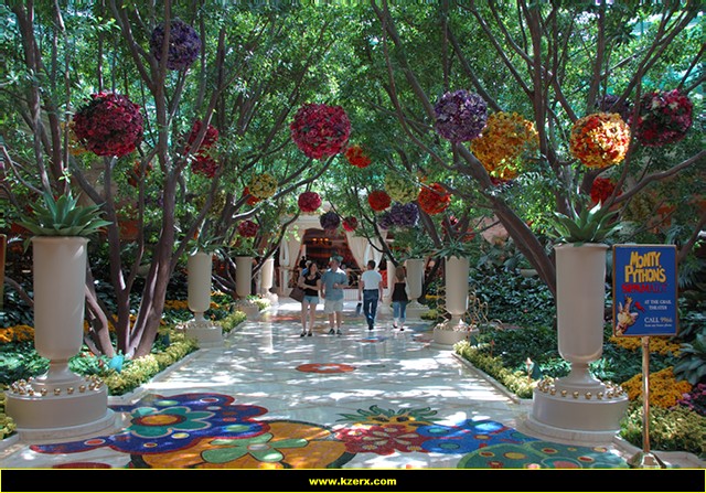 The Wynn