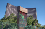 The Wynn