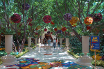 The Wynn