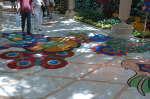 The Wynn