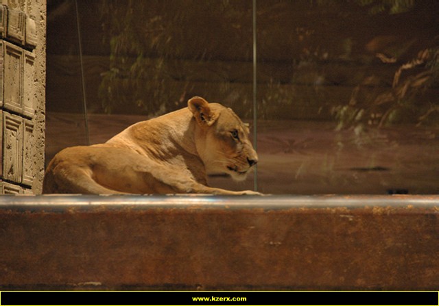 MGM Grand