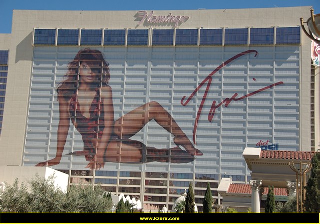 The Flamingo