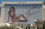 The Flamingo