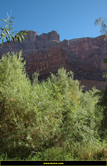 The Grand Canyon