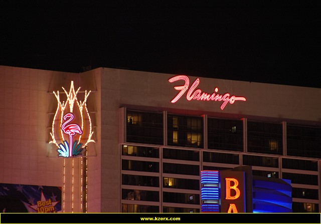 The Flamingo