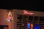 The Flamingo