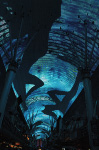 The Fremont Street Experience