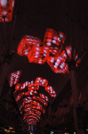 The Fremont Street Experience