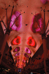 The Fremont Street Experience