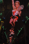 The Fremont Street Experience