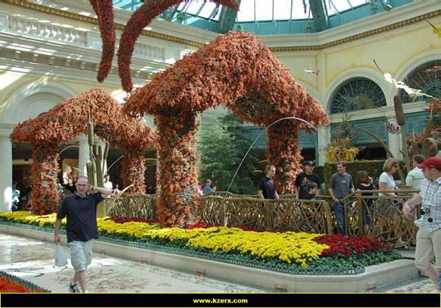 Bellagio
