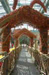 Bellagio