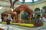 Bellagio