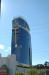 The Palms
