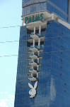 The Palms