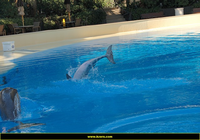 Siegfried & Roy's Secret Garden