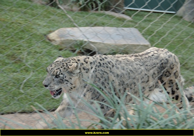 Siegfried & Roy's Secret Garden