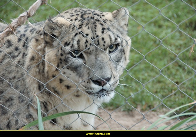 Siegfried & Roy's Secret Garden