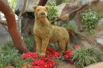 Siegfried & Roy's Secret Garden
