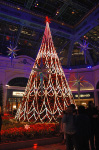 Bellagio