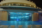 The Golden Nugget