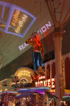 The Golden Nugget