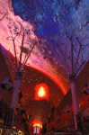 The Fremont Street Experience