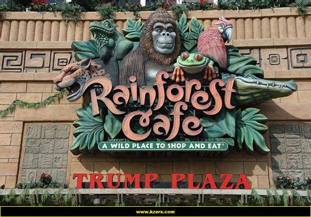 Rainforest Cafe