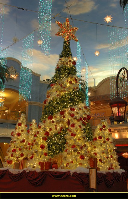 The Tropicana