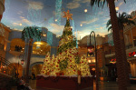 The Tropicana