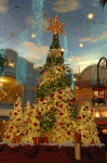 The Tropicana