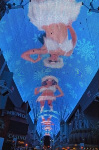 The Fremont Street Experience
