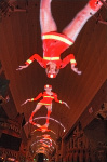 The Fremont Street Experience