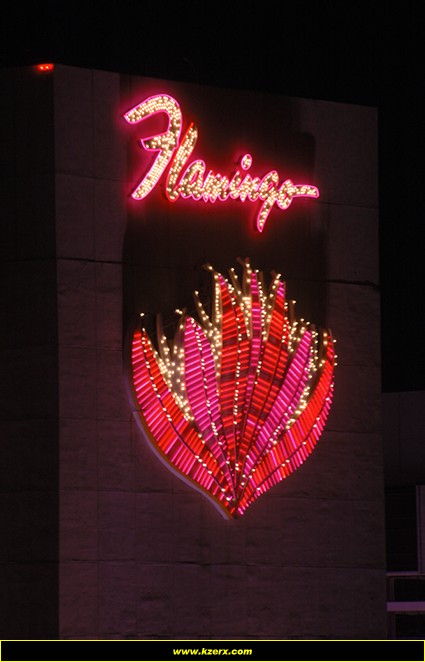 The Flamingo