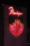 The Flamingo