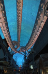 The Fremont Street Experience