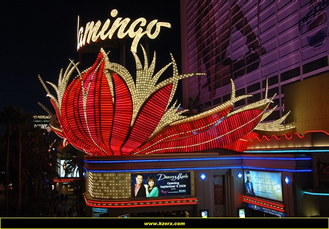 The Flamingo