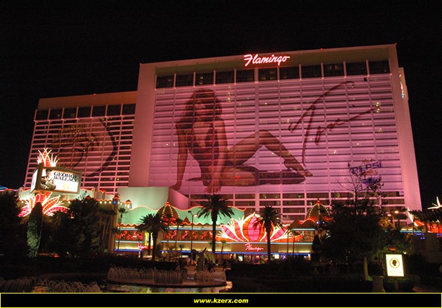 The Flamingo