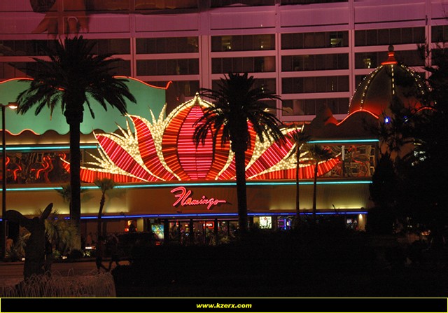 The Flamingo
