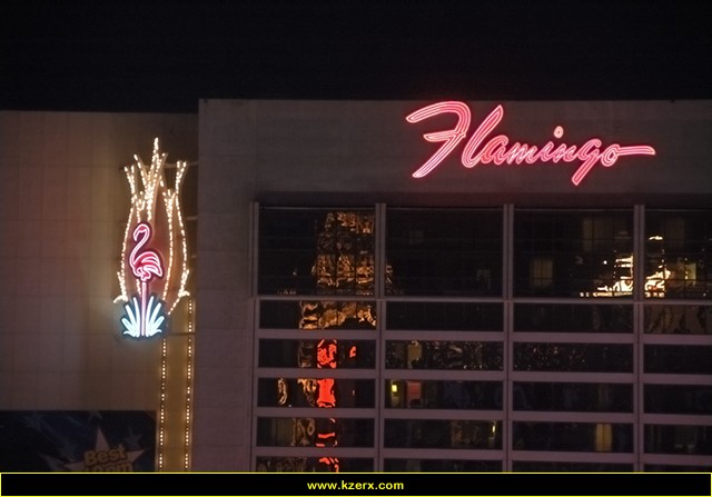 The Flamingo
