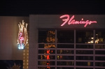 The Flamingo