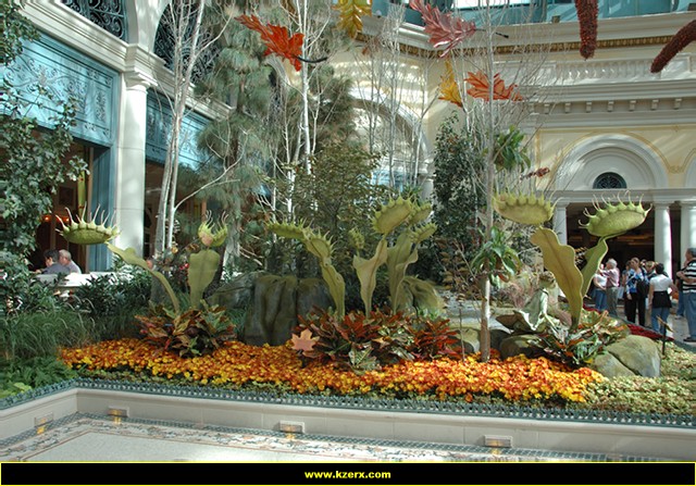 Bellagio